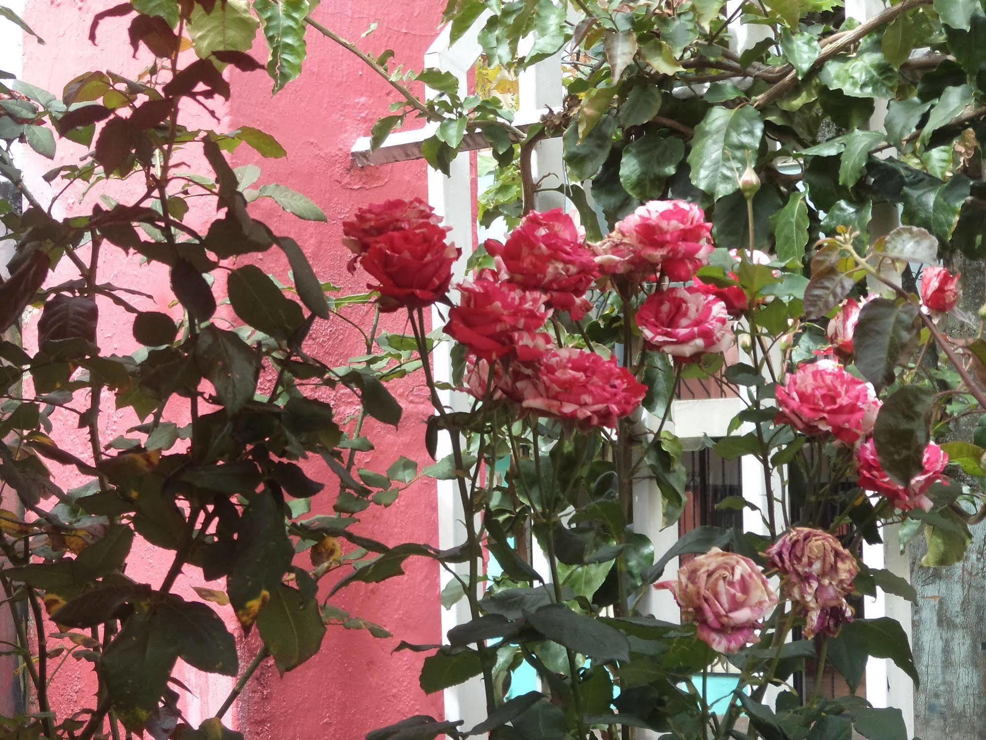 Hostal Imperial Quito Buitenkant foto